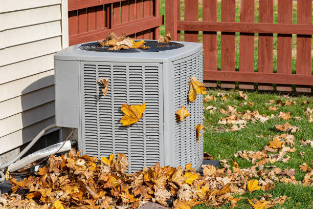 Best HVAC air duct cleaning  in Cameron, TX